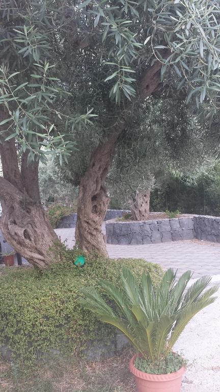 Azienda Agricola Cuntarati Bronte Kültér fotó